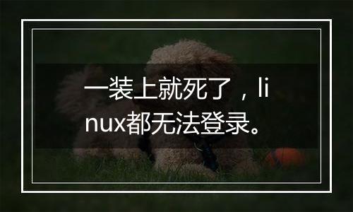 一装上就死了,linux都无法登录。