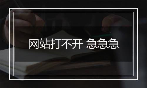网站打不开 急急急