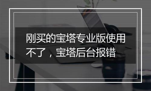 刚买的宝塔专业版使用不了,宝塔后台报错