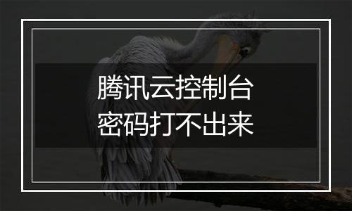 腾讯云控制台密码打不出来
