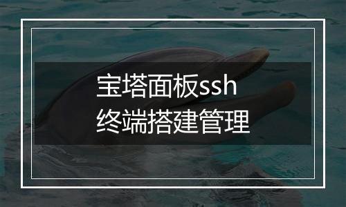 宝塔面板ssh终端搭建管理