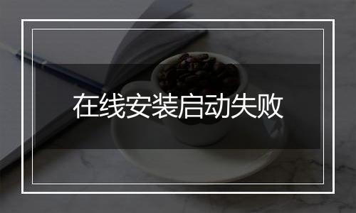 在线安装启动失败