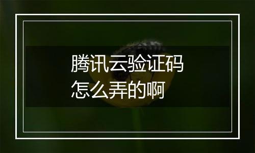 腾讯云验证码怎么弄的啊