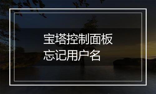 宝塔控制面板忘记用户名