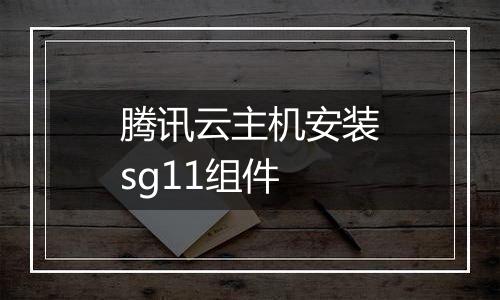 腾讯云主机安装sg11组件