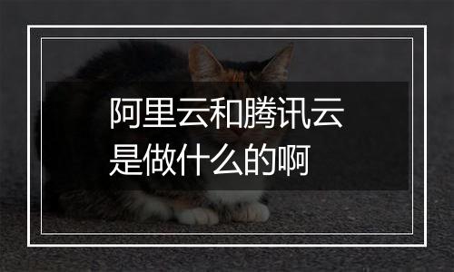 阿里云和腾讯云是做什么的啊
