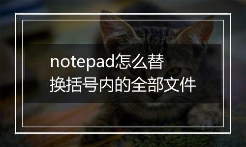 notepad怎么替换括号内的全部文件