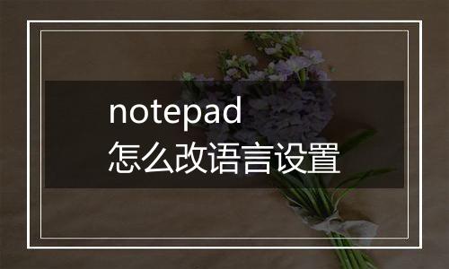 notepad怎么改语言设置