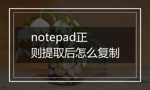 notepad正则提取后怎么复制