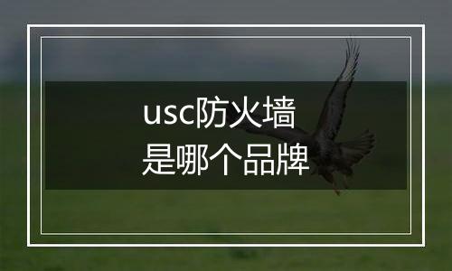 usc防火墙是哪个品牌