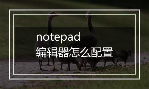 notepad编辑器怎么配置