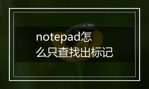 notepad怎么只查找出标记