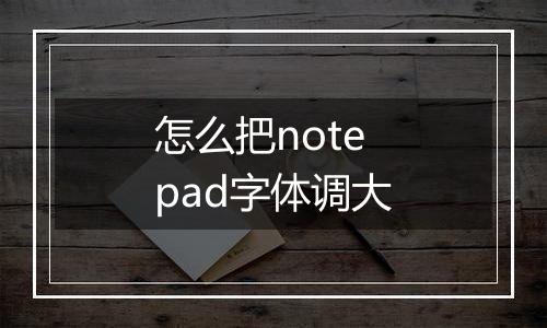 怎么把notepad字体调大