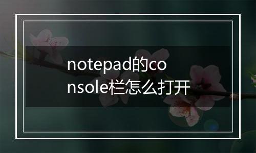 notepad的console栏怎么打开