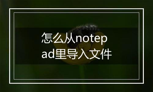 怎么从notepad里导入文件