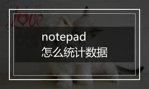 notepad怎么统计数据