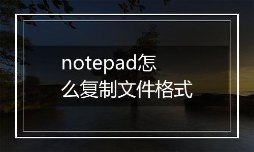 notepad怎么复制文件格式
