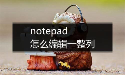 notepad怎么编辑一整列