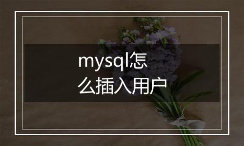 mysql怎么插入用户