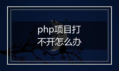 php项目打不开怎么办