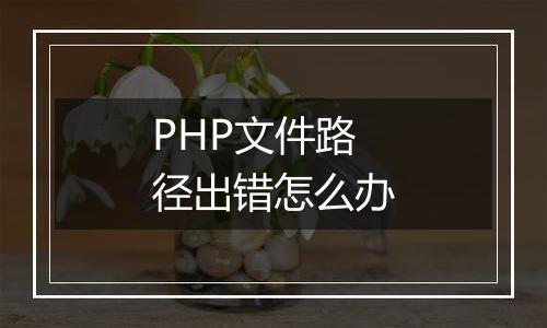 PHP文件路径出错怎么办
