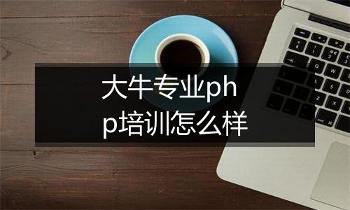 大牛专业php培训怎么样