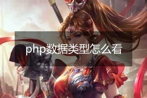 php数据类型怎么看