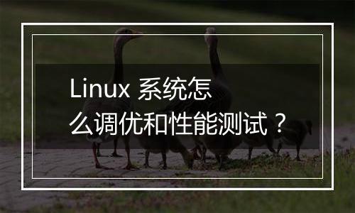 Linux 系统怎么调优和性能测试？