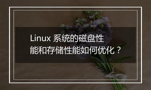 Linux 系统的磁盘性能和存储性能如何优化?