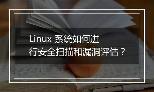 Linux 系统如何进行安全扫描和漏洞评估？