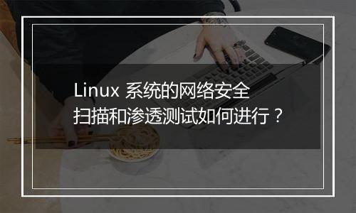 Linux 系统的网络安全扫描和渗透测试如何进行？