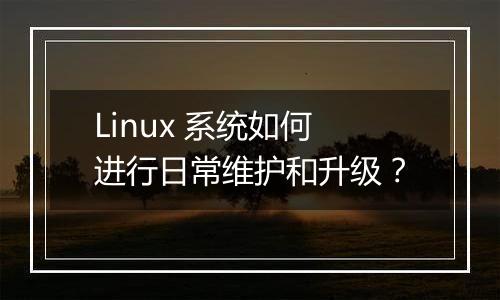 Linux 系统如何进行日常维护和升级？