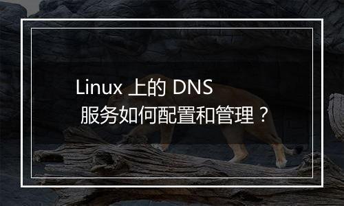 Linux 上的 DNS 服务如何配置和管理？