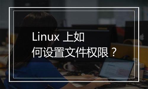 Linux 上如何设置文件权限?