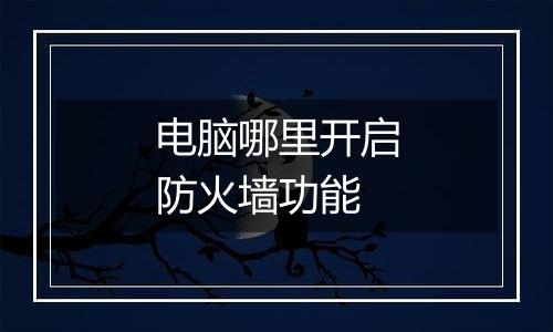 电脑哪里开启防火墙功能