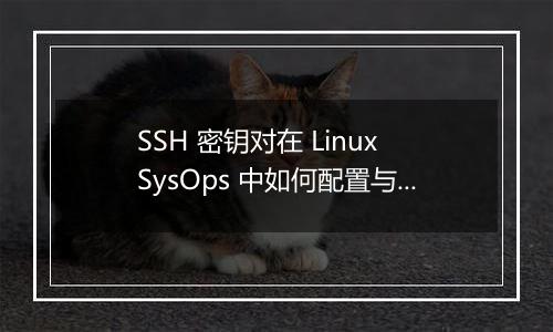 SSH 密钥对在 Linux SysOps 中如何配置与管理?