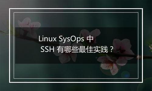 Linux SysOps 中 SSH 有哪些最佳实践？