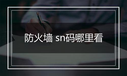 防火墙 sn码哪里看