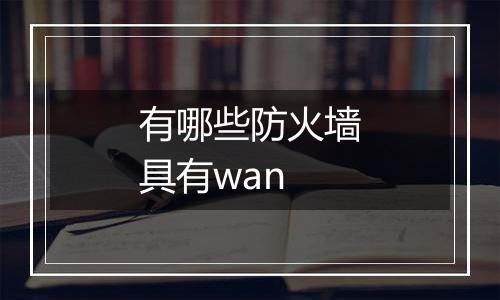 有哪些防火墙具有wan