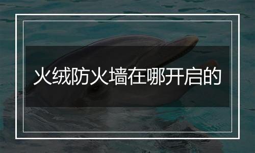 火绒防火墙在哪开启的