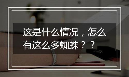 这是什么情况,怎么有这么多蜘蛛??