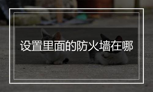 设置里面的防火墙在哪