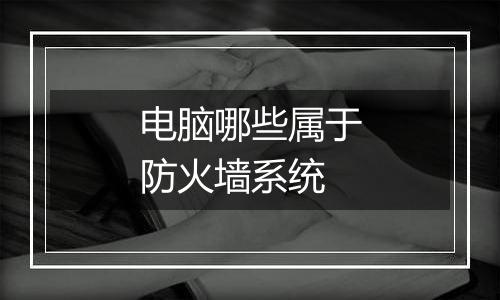 电脑哪些属于防火墙系统