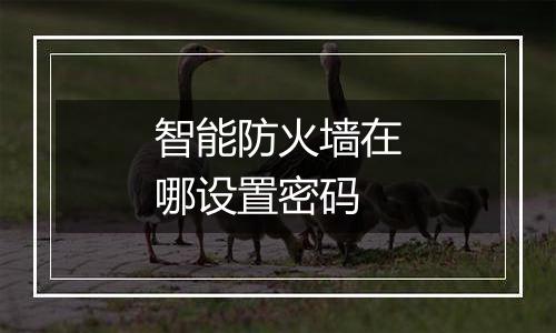 智能防火墙在哪设置密码