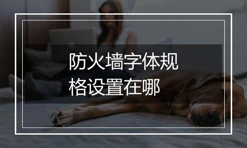 防火墙字体规格设置在哪