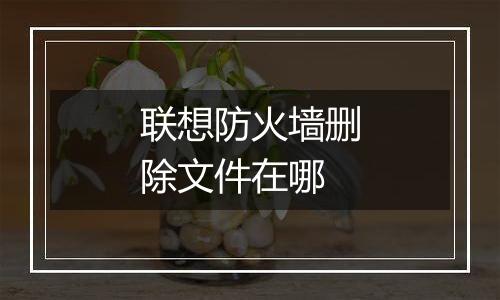 联想防火墙删除文件在哪