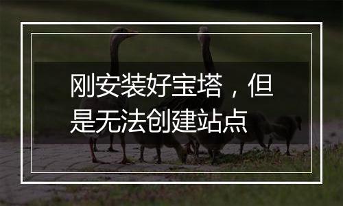 刚安装好宝塔，但是无法创建站点