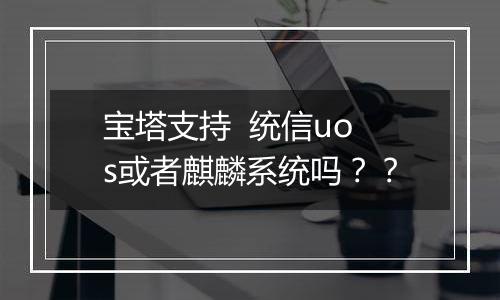 宝塔支持  统信uos或者麒麟系统吗？？