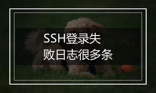 SSH登录失败日志很多条