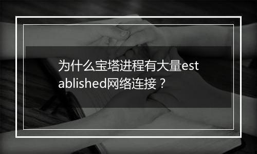 为什么宝塔进程有大量established网络连接?